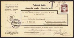 spedizione-pacco-da Vienna-a-lager-Theresienstadt,Theresienstadt, a parcel receipt sent to the ghetto by a Jewish friend or relative outside (since contact with Arians was forbidden) arrival postmark Terezin 11.VII.41.jpg